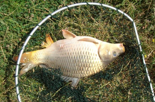 De pe ... balti ... 2 - sany0724.JPG